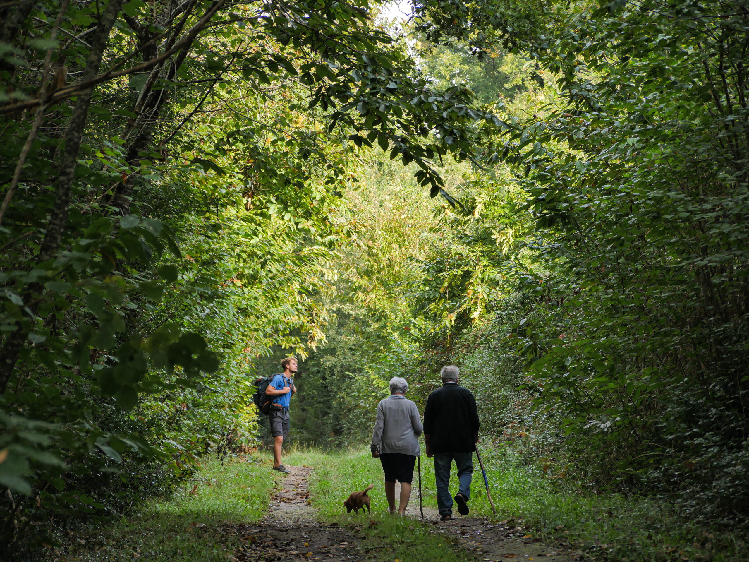 Randonneurs sur un sentier en montagne